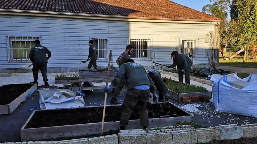 El obradoiro de emprego prepara las futuras huertas de los colegios de Corón y Tremoedo