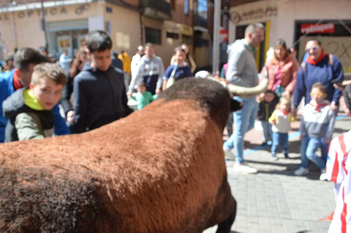 GALERÍA | Las Escuelas Taurinas de Gente del Toro, en imágenes