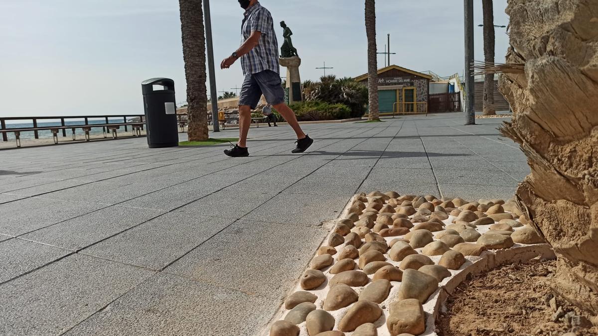 El Ayuntamiento de Torrevieja renueva los alcorques del paseo de Juan Aparicio y de la avenida de Los Marineros en la playa del Cura