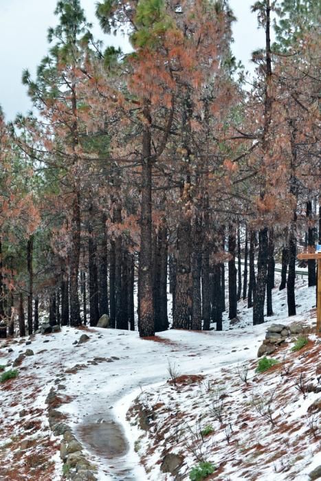 NIEVE CUMBRE GRAN CANARIA