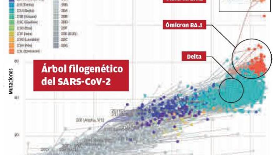 La variante ómicron «evoluciona» y dispara de nuevo las alertas al subir su poder de contagio