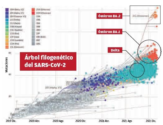 La variante ómicron «evoluciona» y dispara de nuevo las alertas al subir su poder de contagio