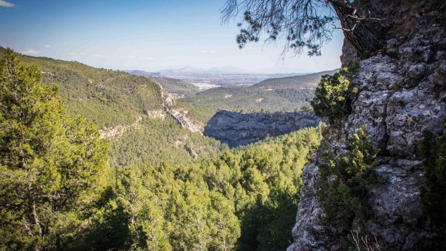Panorámica del barranco de Hondares en la sierra de Moratalla.