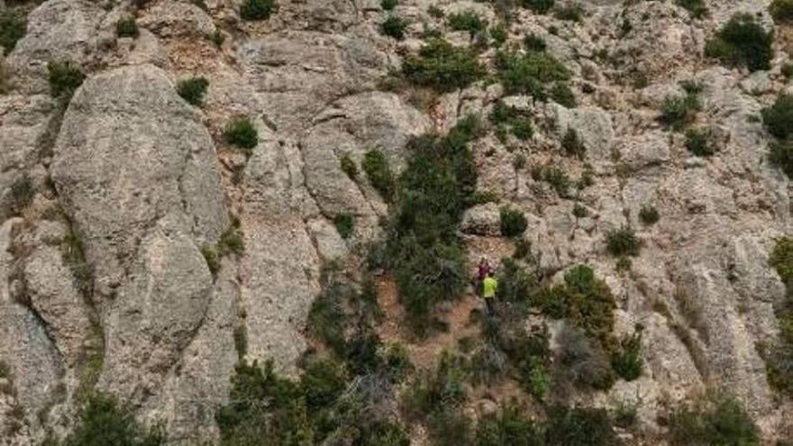 Una excursionista cau per un barranc de gairebé 30 metres a Montserrat