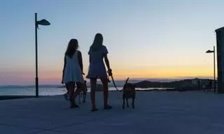 O Salnés se alza como el mejor destino «pet friendly» de España