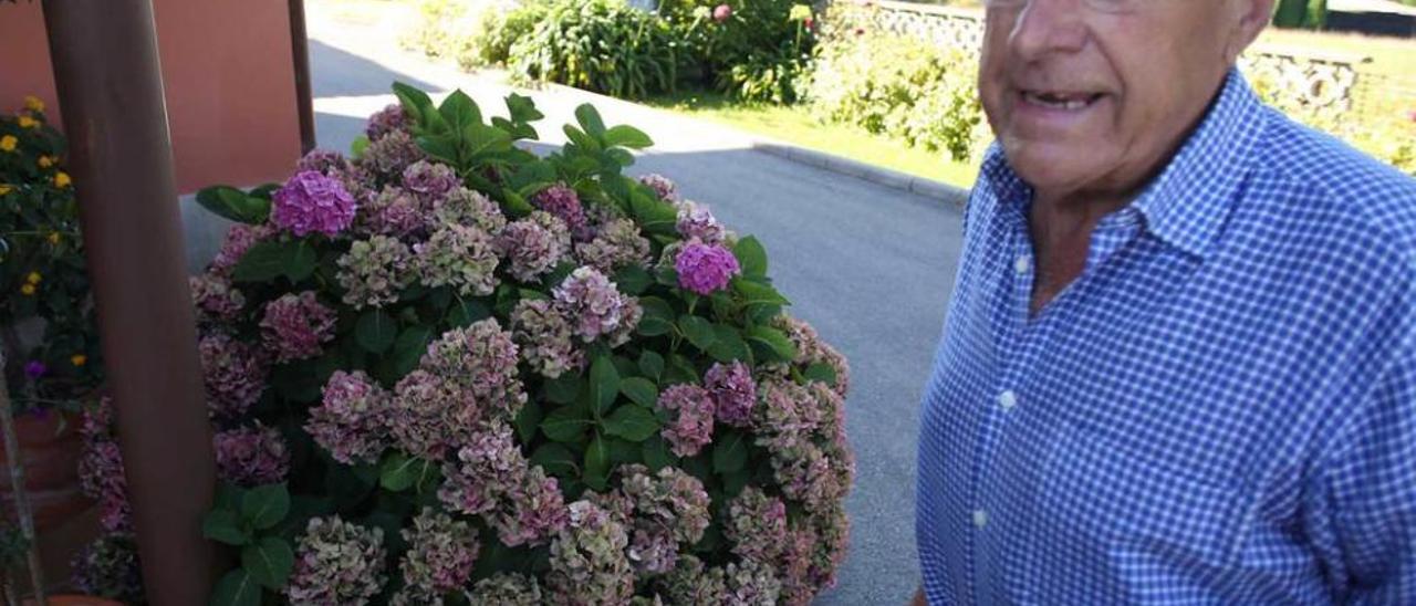 Salvador Noval da explicaciones sobre la floración de las hortensias.