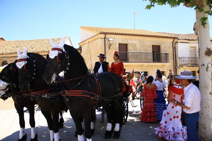 Feria del caballo en Fuentesaúco