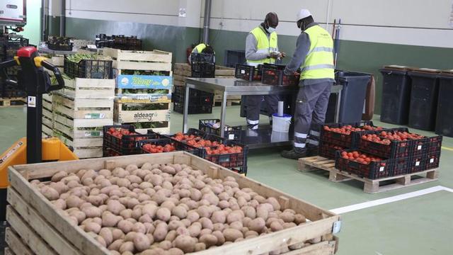 Diversos empleats treballen al Foodback, el centre d’aprofitament alimentari de Mercabarna | RICARD CUGAT