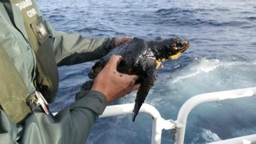 El vertido de fuel de Canarias