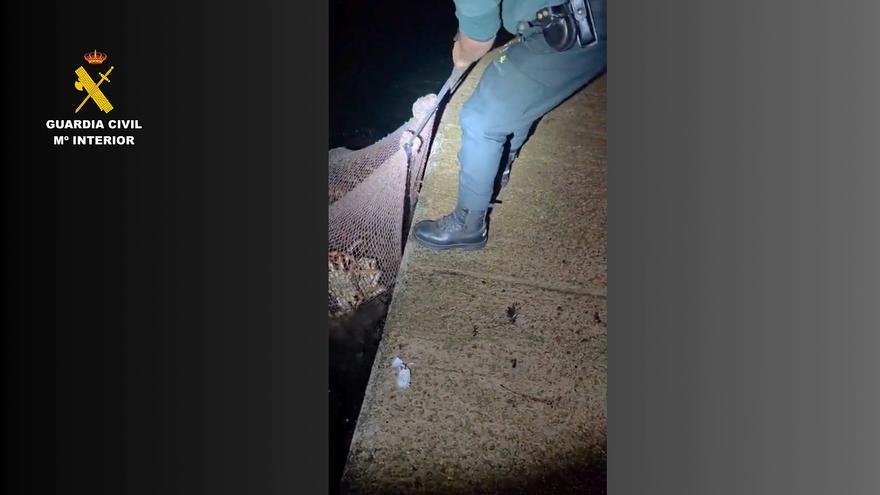Amenazan a la Guardia Civil tras una descarga ilegal de centollo en Camariñas