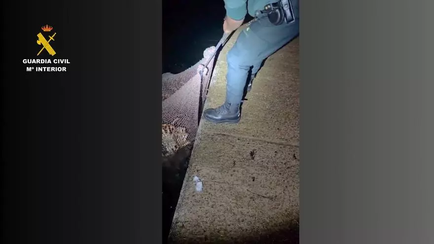 Amenazan a la Guardia Civil tras una descarga ilegal de centollo en Camariñas