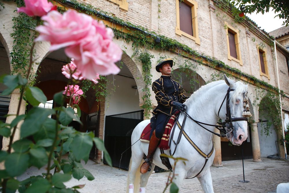 Vuelve a Caballerizas el espectáculo de Córdoba Ecuestre