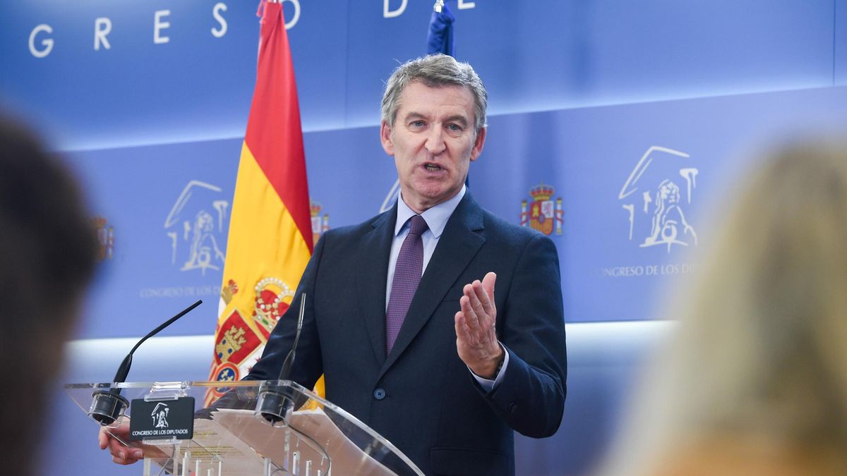 El president del Partit Popular, Alberto Núñez Feijóo.