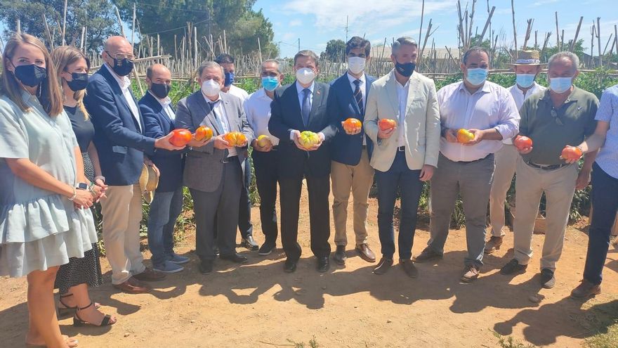 Planas visita una explotación de una variedad de tomate autóctono del Valle del Guadalhorce