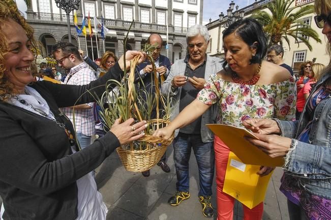 CONCURSO DE CRUCES DE MAYO