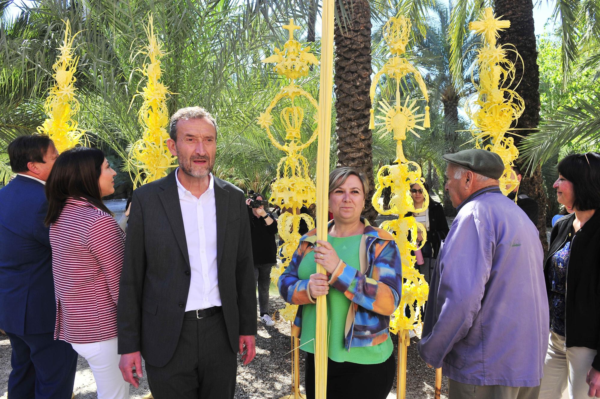 Elche envía unas majestuosas palmas blancas al Papa, a la reina Letizia y a Pedro Sánchez