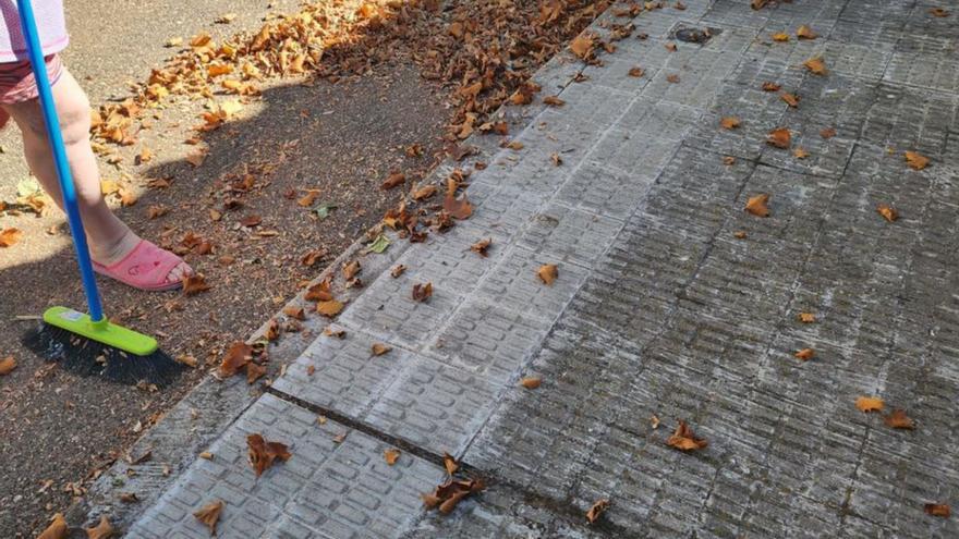 Los vecinos de Alviar tiran de escoba para mantener las calles sin basuras