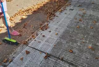 Los vecinos de Alviar tiran de escoba para mantener las calles sin basuras