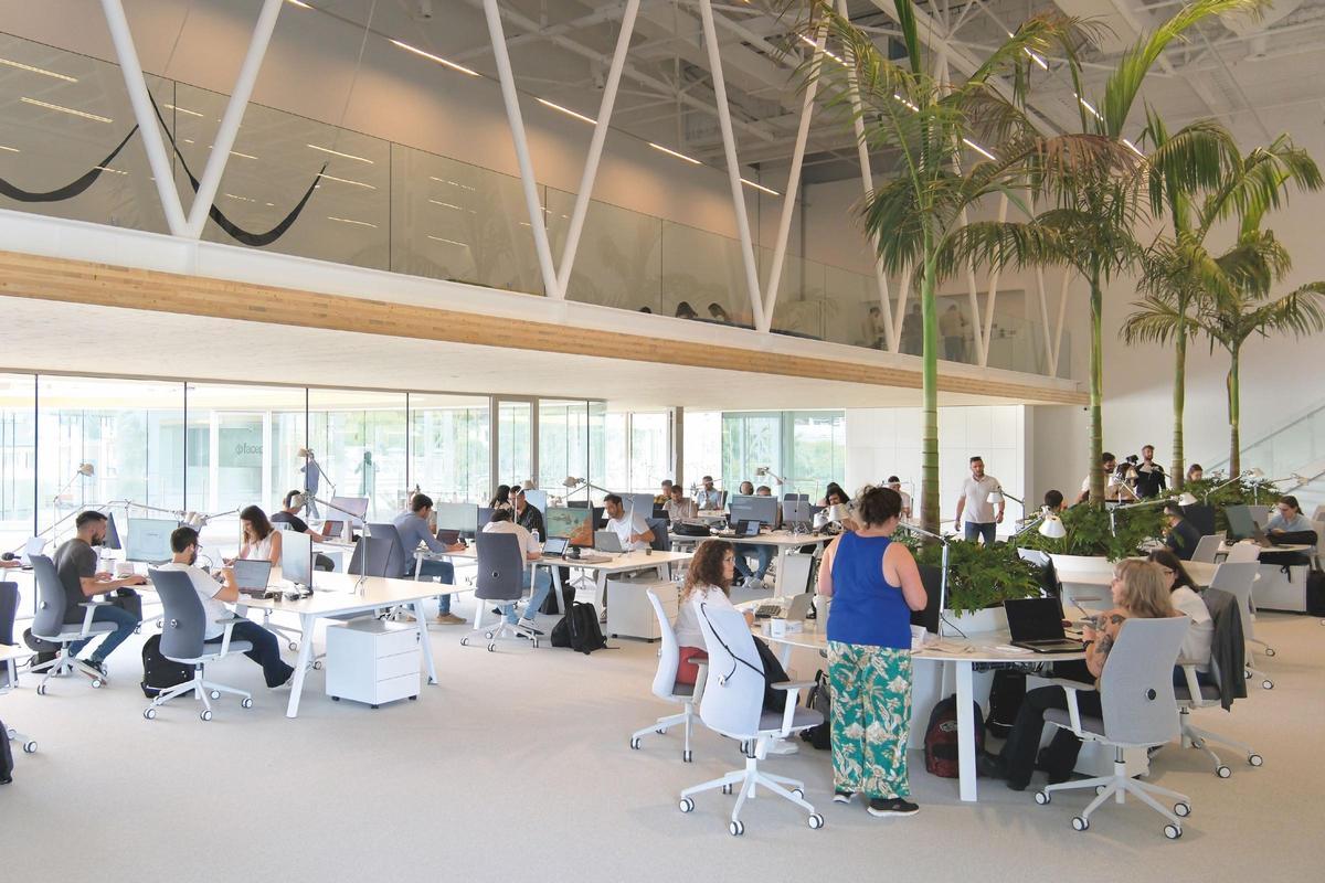 Empleados de Facephi en su sede de Alicante.