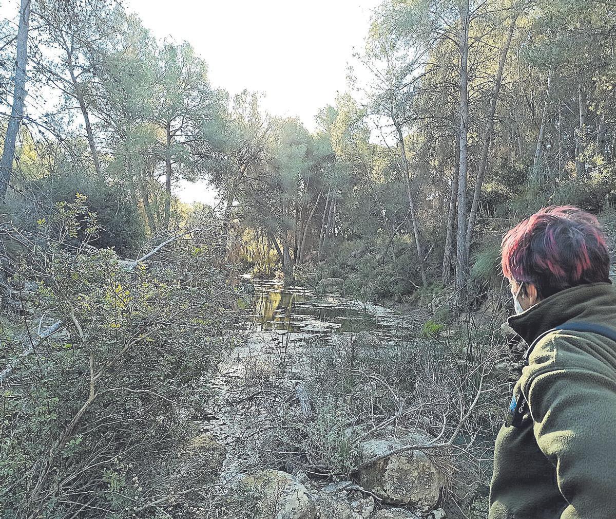 Cauce del río Seco en Pilar de la Horadada dentro del espacio protegido de Sierra Escalona