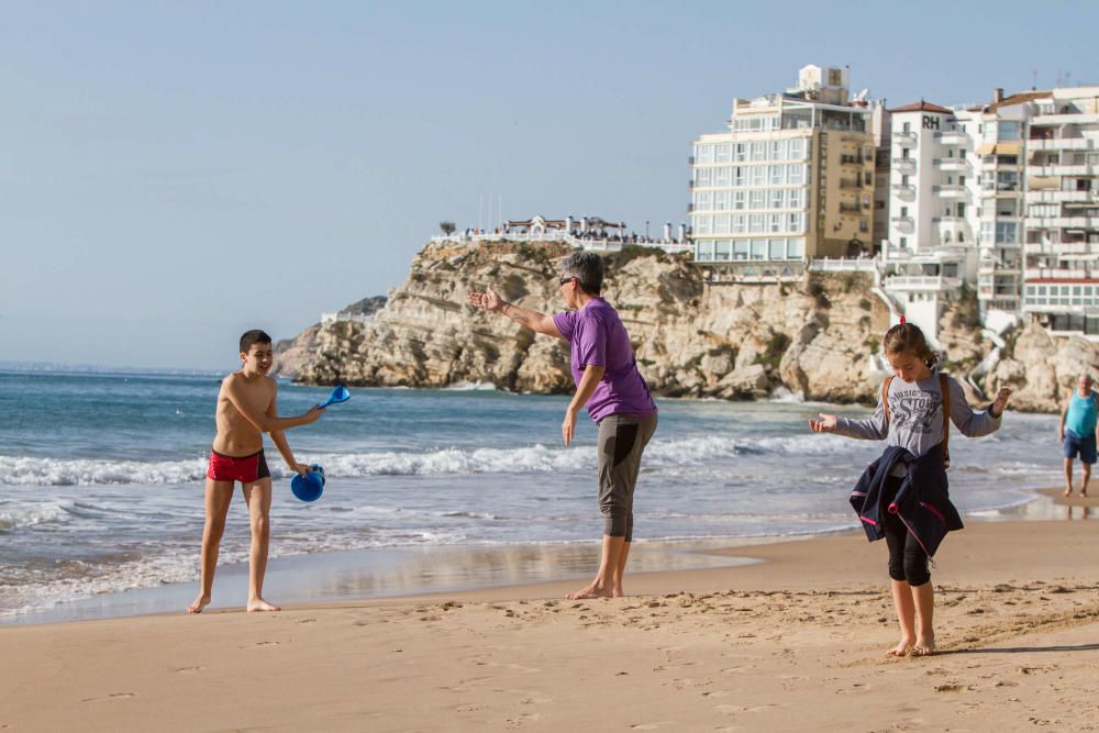 Benidorm celebra el día de la Constitución