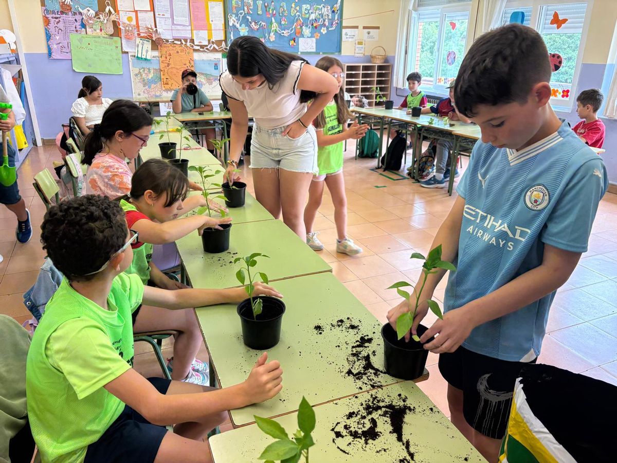 Participantes preparan sus plantas en la maceta.