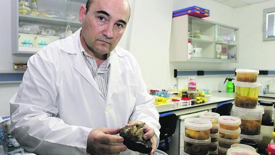 Javier Cristobo sostiene en sus manos un espécimen extraído del Cañón de Avilés en una pasada campaña científica.