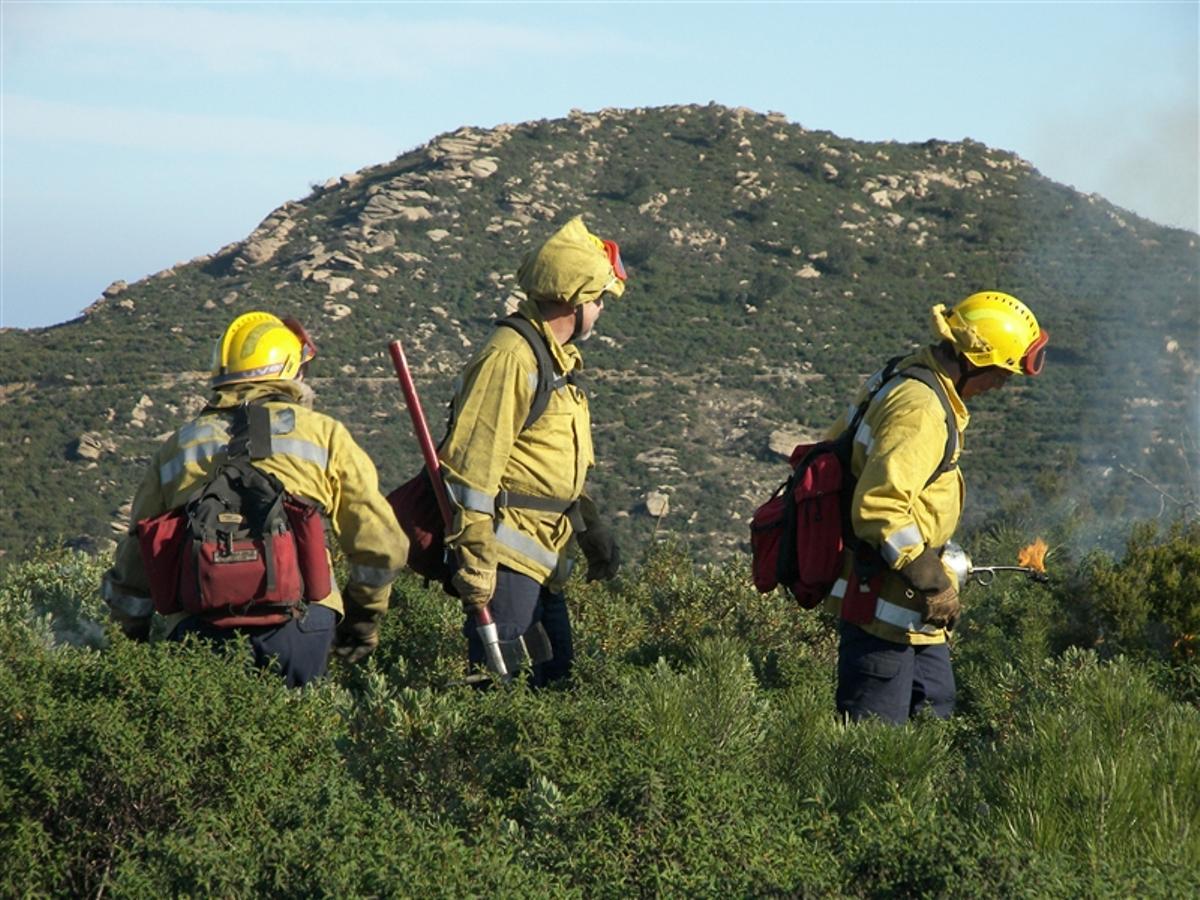 Al cap de Creus ja es van fer treballs de prevenció d'incendis