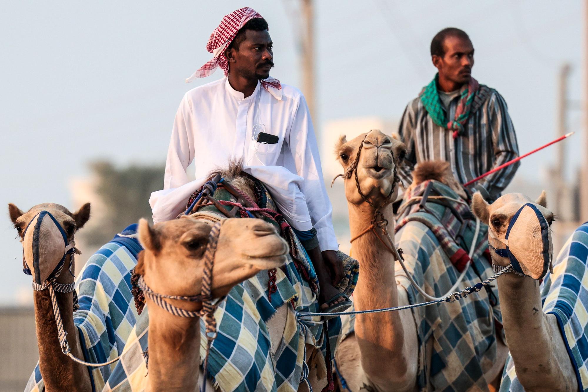 Carreras profesionales de camellos