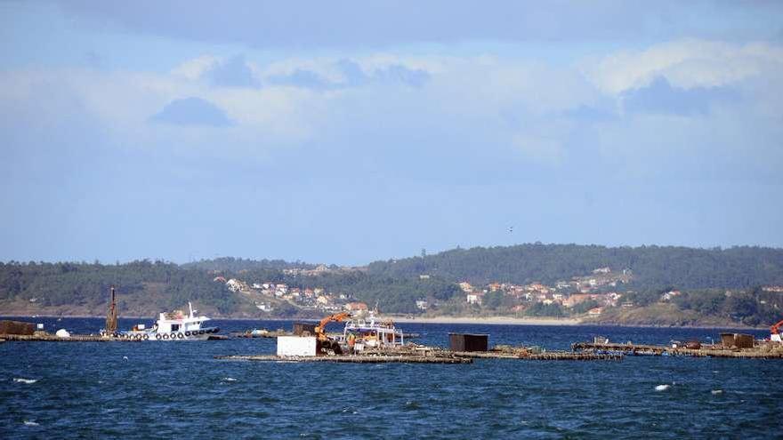 Bateeiros de la comarca de O Morrazo, trabajando en la ría.  // Gonzalo Núñez