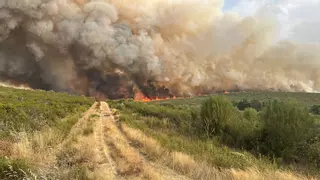 VÍDEO | Incendio de nivel 2 en Puercas de Aliste, en plena Sierra de la Culebra