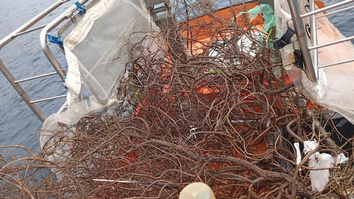 Basura retirada del mar en las islas.