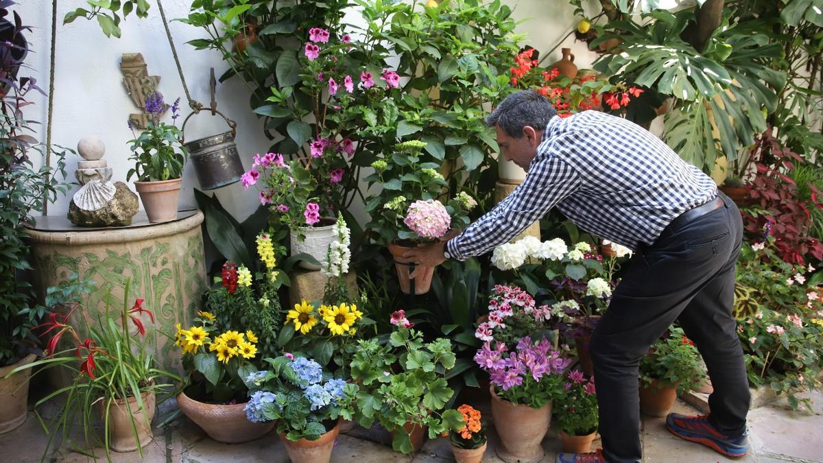 Un cuidador de patios arregla las flores antes de abrir las puertas del recinto.