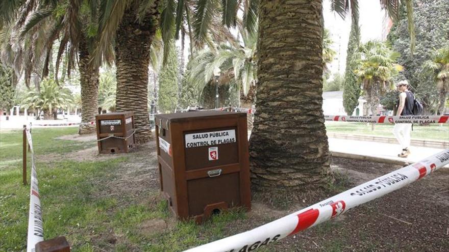 Aparecen roedores en los parques Pignatelli y Miraflores