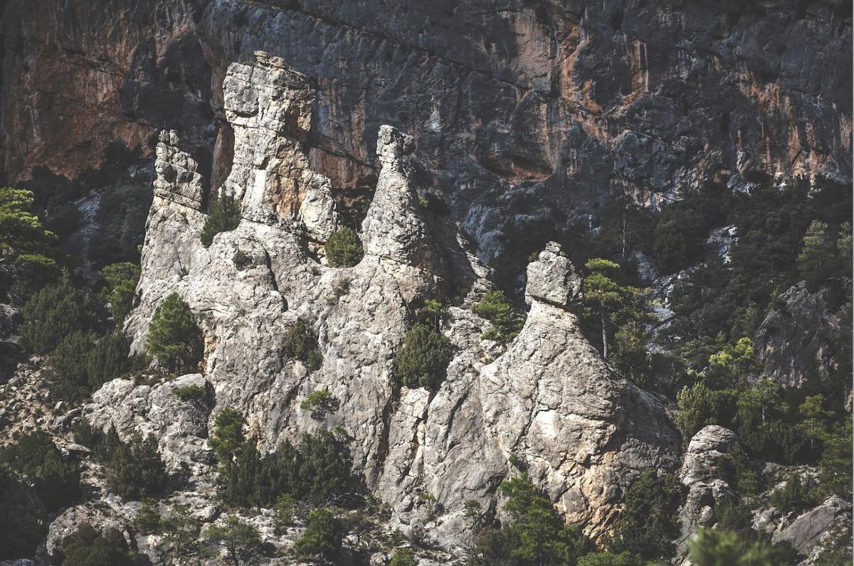 Crestas de la rambla de Sellumbres.