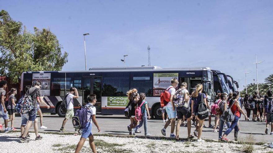 Imagen de la salida de alumnos de un centro escolar en Torrevieja hacia los autobuses /Foto Tony Sevilla