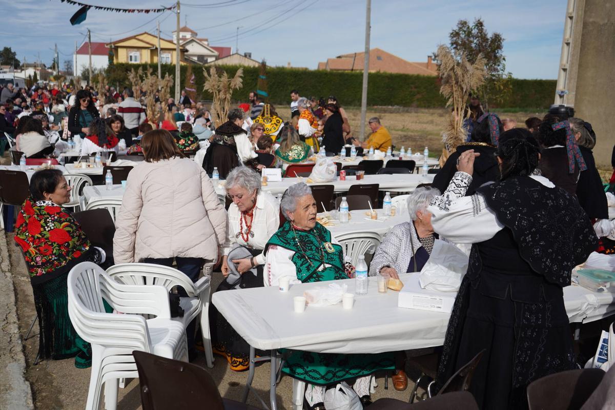 GALERÍA | Benegiles, hasta la bandera para celebrar la Fiesta del CIT GALERÍA | Benegiles, hasta la bandera para celebrar la Fiesta del CIT