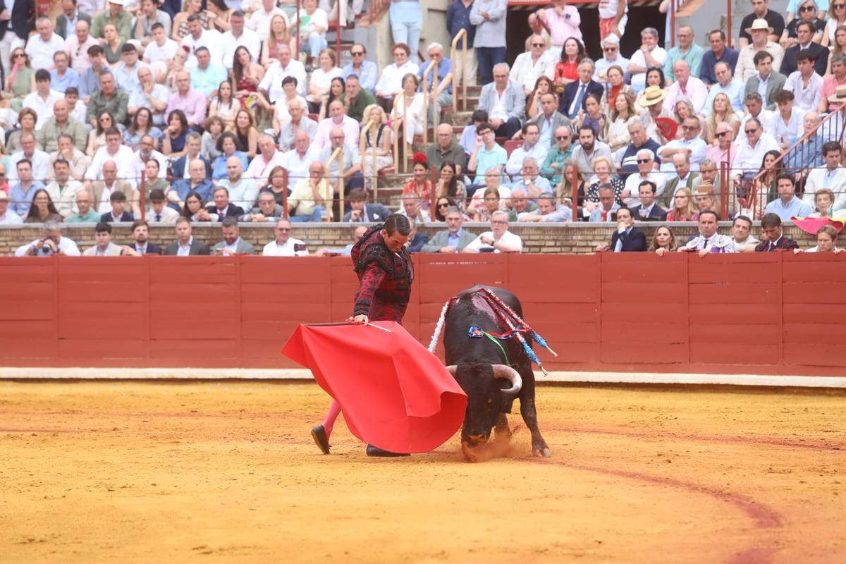 Manzanares en una serie de derechazos con el primer toro de Domingo Hernández.
