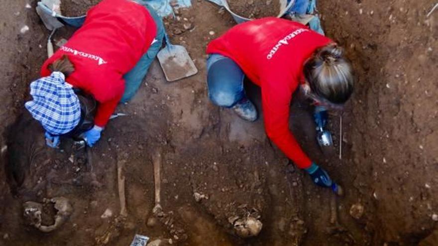 Restos encontrados ayer en el cementerio civil.