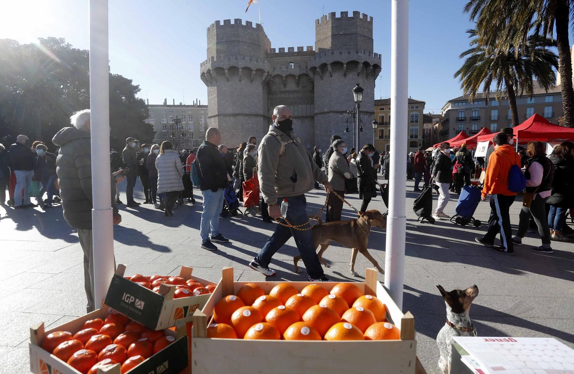 Mercat de la Taronja ante las Torres de Serrano