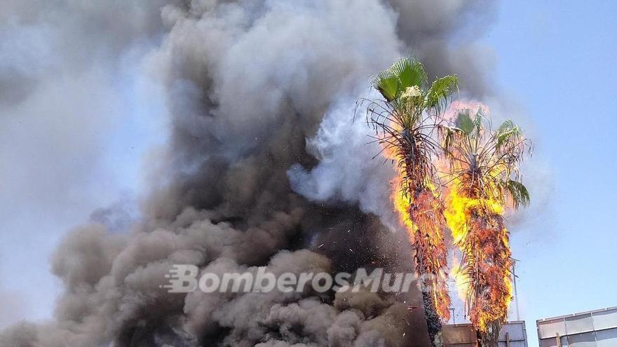 Palmeras en llamas en un incendio en un desguace de Murcia