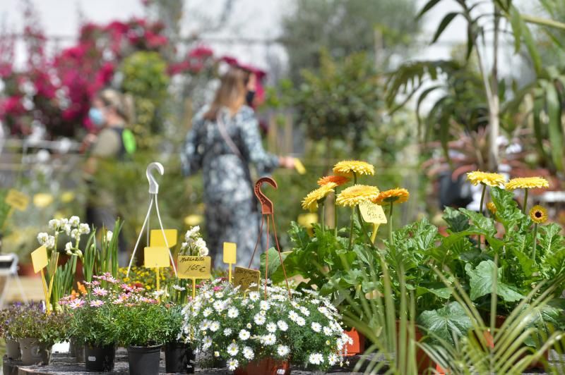 El Churchill reconvertido en tienda de plantas