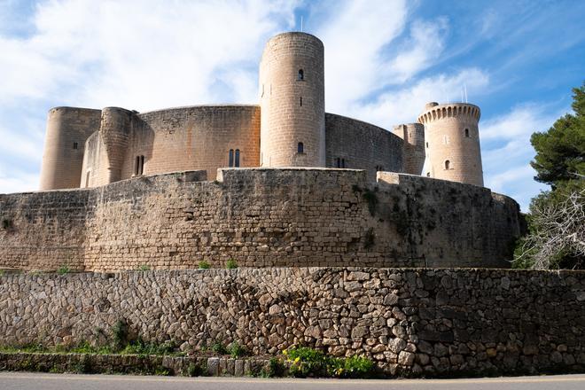 Las fotos de la degradación del bosque y el aparcamiento del Castillo de Bellver