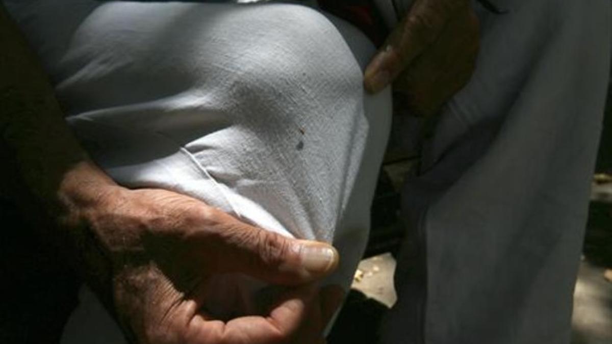 Una chinche del plátano en el pantalón de un hombre, en el cruce de Diagonal con Girona, ayer.