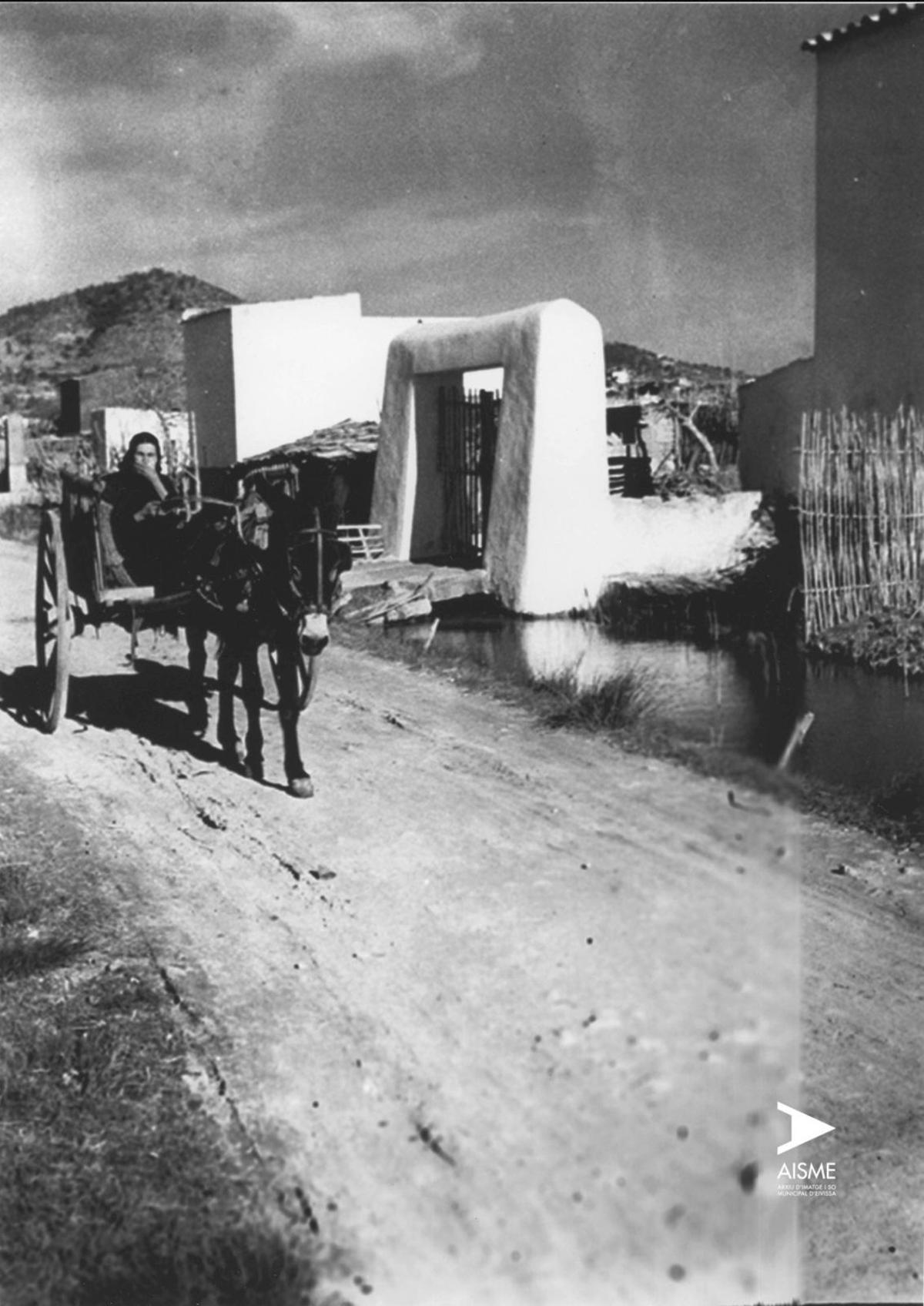 Camí de ses Feixes. / ALFONS GARCIA PRATS