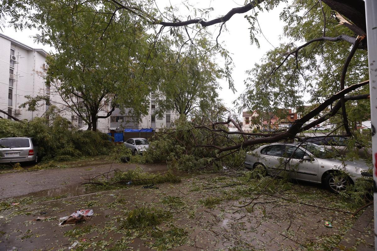 Aviso naranja en Córdoba