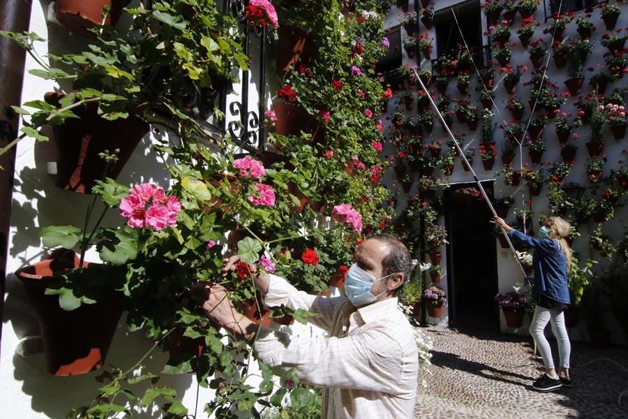 Los Patios de Córdoba (2)