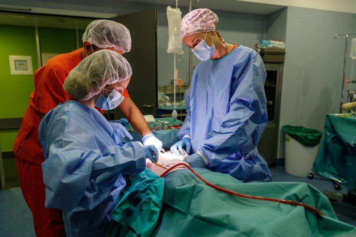 Imagen de archivo de varios profesionales sanitarios en un quirófano de Son Espases.