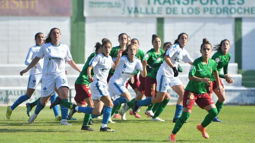 El Córdoba Femenino y el Pozoalbense, ante rivales directos en la Reto Iberdrola