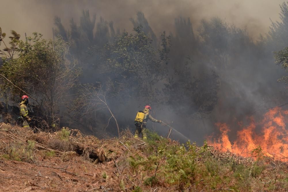 Incendio forestal en San Salvados de Meis